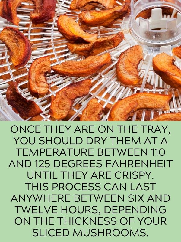mushrooms on dehydrator