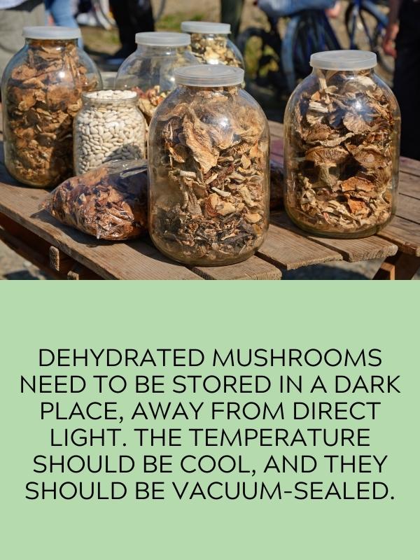 stored dried mushrooms