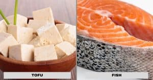 tofu vs fish