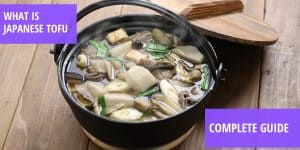 what is japanese tofu