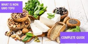 what is non gmo tofu